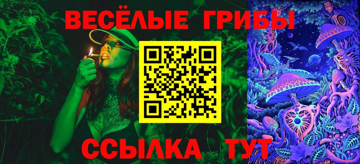 Галлюциногенные грибы Psilocybe Советский