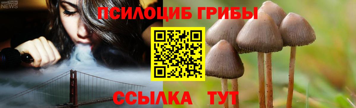 Псилоцибиновые грибы Magic Shrooms  Вход с VPN  Советский  Галлюциногенные грибы GOLDEN TEACHER 
